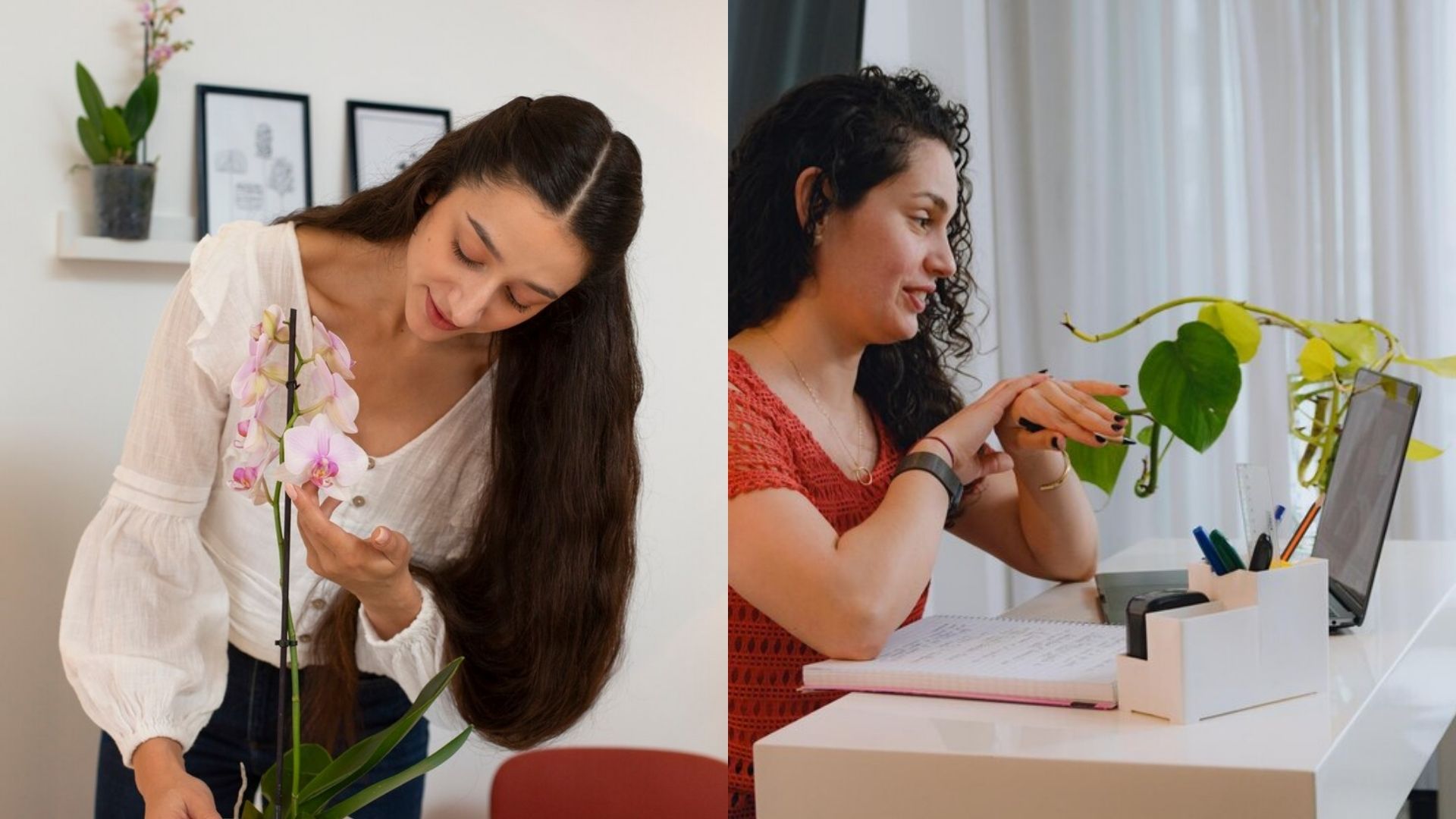 how to start a flower business from home